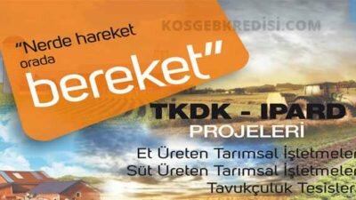 TKDK Hayvancılık Destekleri ve Hibeler (Güncel)
