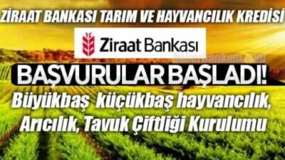 Hayvan Kredisi Nasıl Alınır? (Güncel)