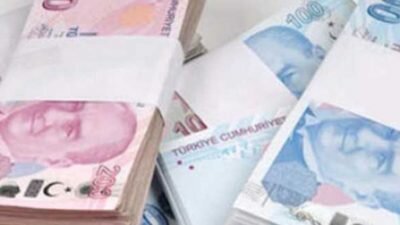 Köyde İş Kurmak İstiyorum (Devlet Destekleri)