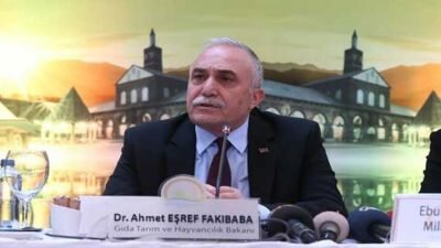 300 Koyun Desteği Şartları ve Asgari Ücret Maaş Prosedürü
