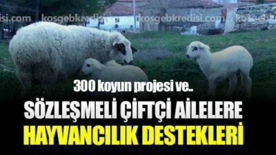 Sözleşmeli Çiftçi Ailelere Hayvancılık Desteği