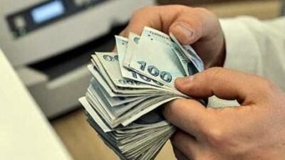 Küçükbaş Hayvan Hibesi Nasıl Alınır? 300 Koyun Hibesi