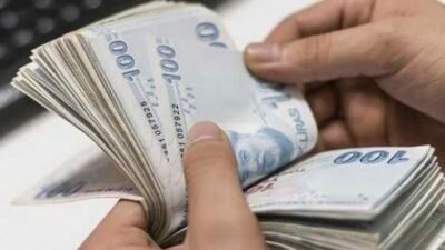Düve Yetiştiriciliği Hibe Kredisi Nasıl Alınır?