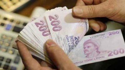 Sed Paraları Yattı mı? Ödeme Tarihi Sorgulama 2020