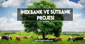 İnekbank ve Sütbank Projesi