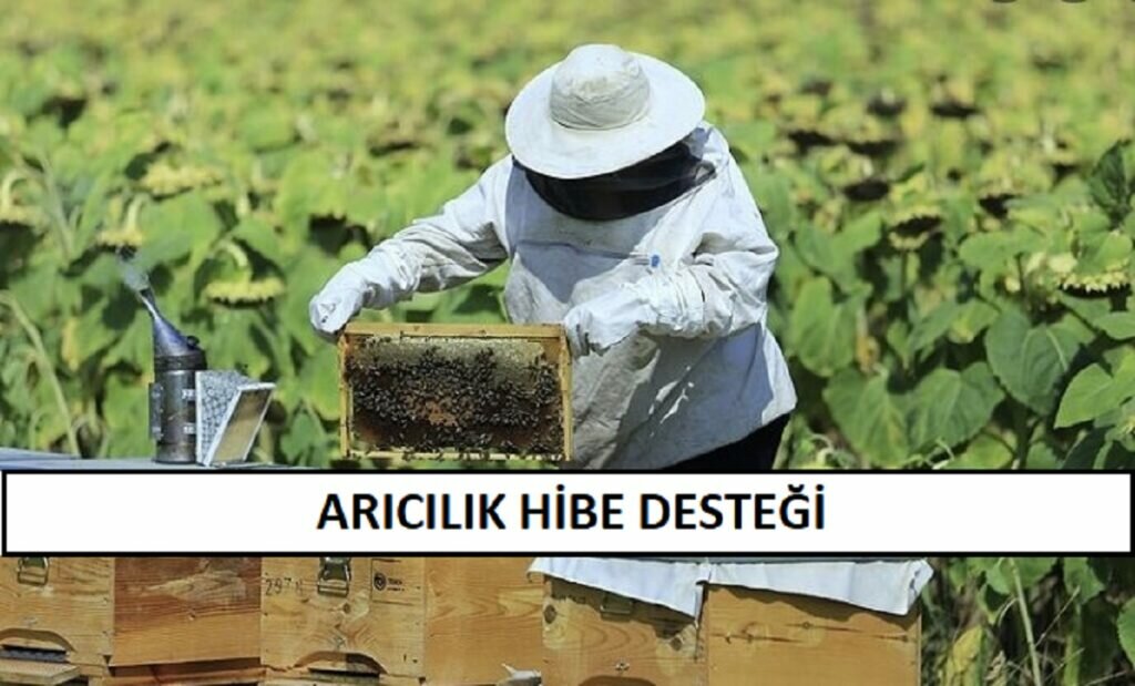 Arıcılık Hibe Desteği 2021 Başvuru (GERİ ÖDEMESİZ)