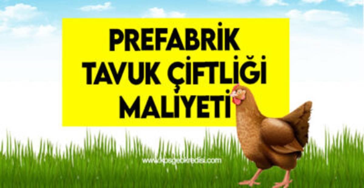 Prefabrik Tavuk Çiftliği Kurulum Maliyeti Hesaplaması 2022 (Hazır Çadır Çiftlik)